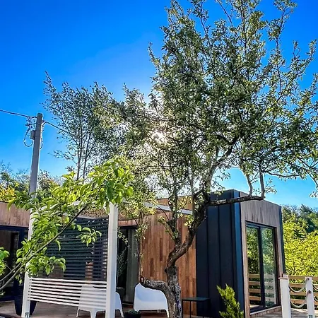 Elysian Fields - Tiny House 'evergreen' Bed & Breakfast